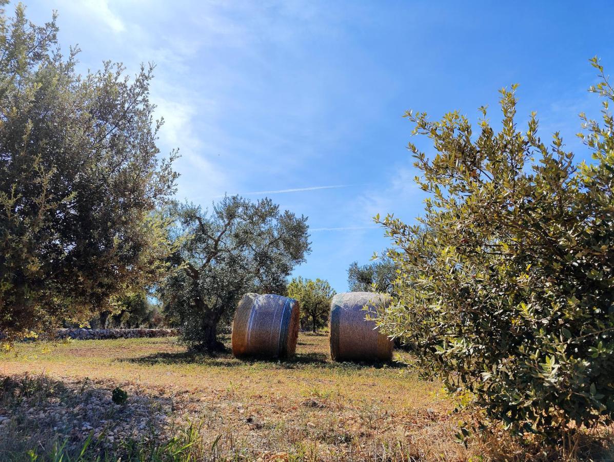 Come una volta - Trulli&Dimore Alberobello Esterno foto